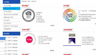 速讯企业管理咨询公司 业务概览与职业发展前景探析